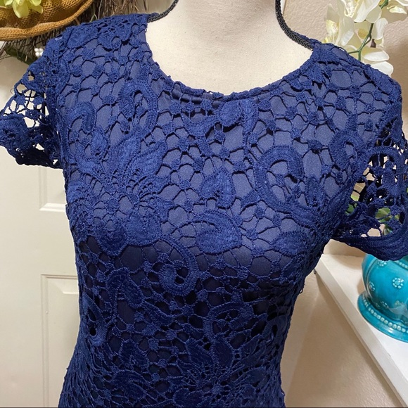 AX Paris Navy Adele Crochet Lace Midi DRESS - Picture 10 of 16